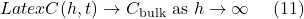 Latex C(h, t)\rightarrow C_{\text{bulk}} \text{ as }h\rightarrow \infty \ \ \ \ (11)
